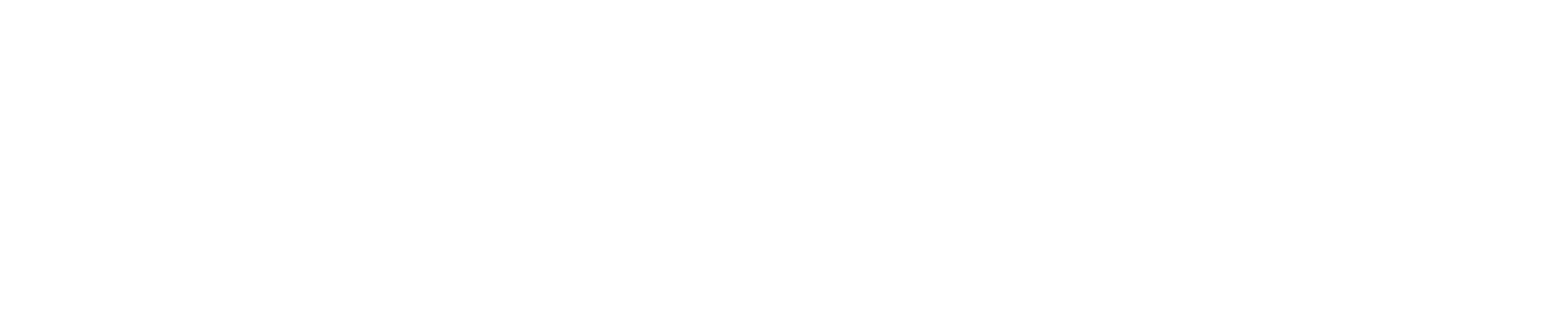 Raysilience